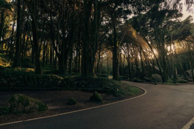 Sintra road