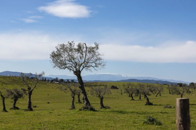 Serra da Estrela